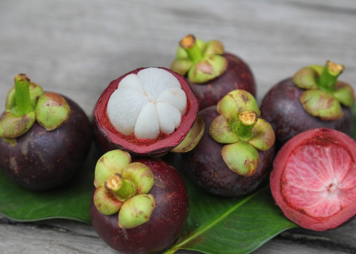 Fattah mangosteen