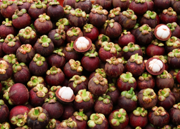 Fattah mangosteen