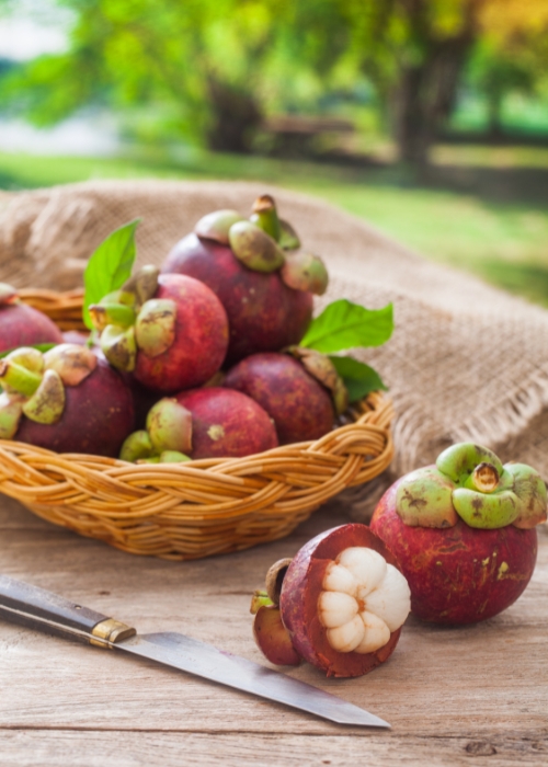 Fattah Mangosteen